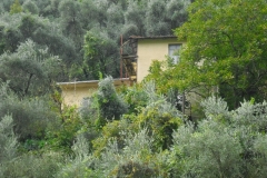 ACQUA5