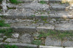 BELV11