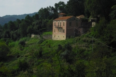 BER16