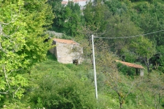 BER18