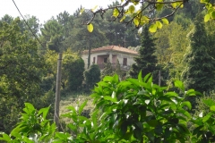 BER20