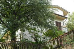 BER4