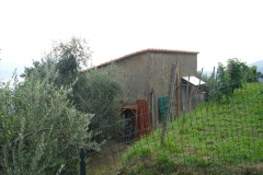 BER8