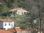 Biassa