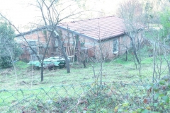 04.12.2010 n.10