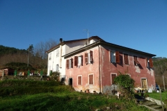 04.12.2010 n.15
