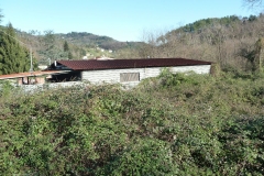04.12.2010 n.16