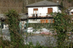 04.12.2010 n.17