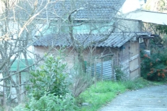 04.12.2010 n.8