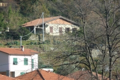 P1030891