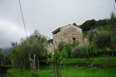 COR10