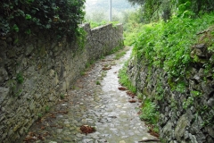 COR12