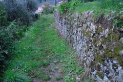 COR12bis
