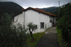 COR17