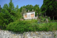 FOCE1