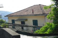 FOCE3