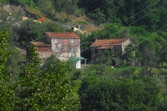 FOCE5
