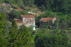 FOCE6