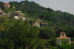 FOCE7