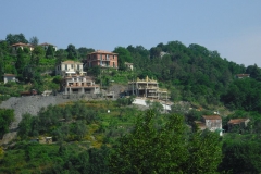 FOCE8