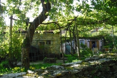 PIANELLO15