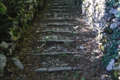 PIANELLO2quinquies
