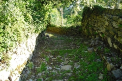 PIANELLO2ter