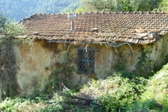 PIANELLO4