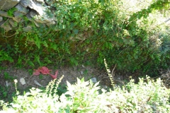 PIANELLO5