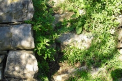 PIANELLO6bis