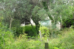 IL PIANO11