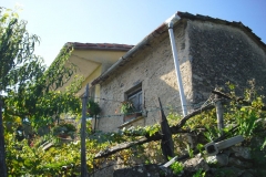 IL PIANO17
