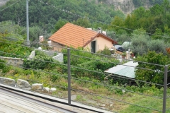 IL PIANO3