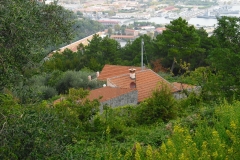 IL PIANO4bis