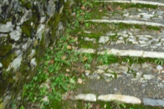IL PIANO7quinquies
