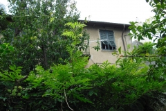 IL PIANO8bis