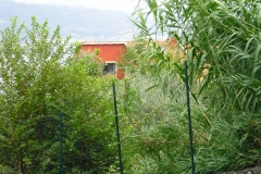 IL PIANO9ter