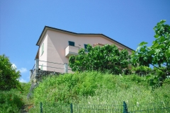 Mag15