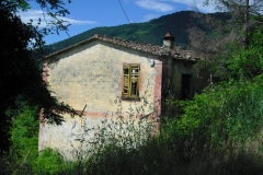 MARIN1