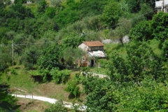 MARIN12