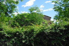 MARIN15