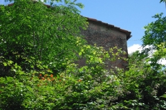 MARIN15bis