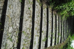 MARIN4