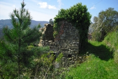 MontIs106