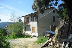 MontIs115
