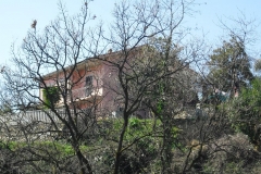MontIs28