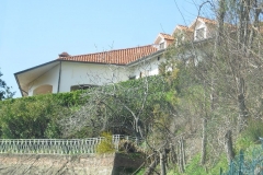 MontIs29