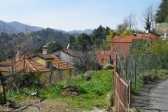 MontIs33