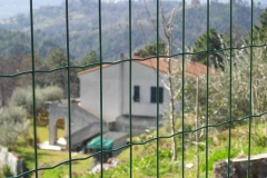 MontIs35