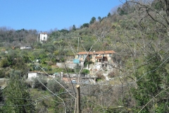 MontIs36